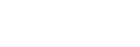 FidelSoft Inc logo 1